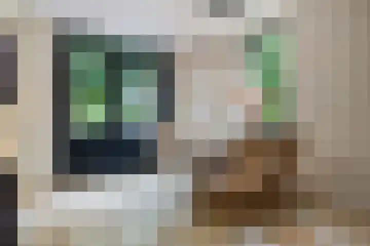 Vergiliushof 11 A Maastricht thumbnail 17
