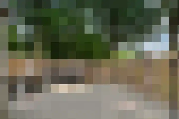Vergiliushof 11 A Maastricht thumbnail 20