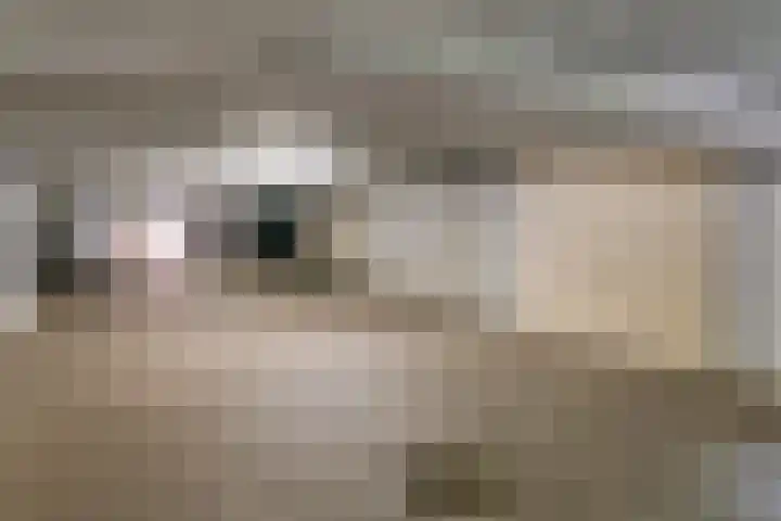 Vergiliushof 11 A Maastricht thumbnail 30
