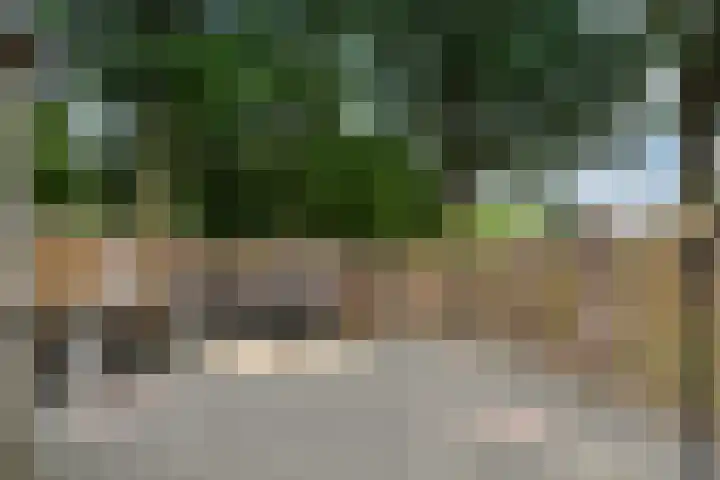 Vergiliushof 11 A Maastricht thumbnail 7