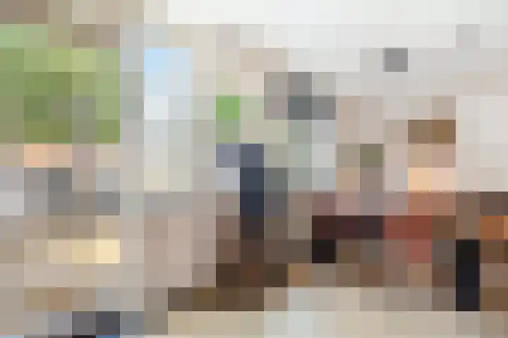 Vergiliushof 14 A Maastricht thumbnail 11