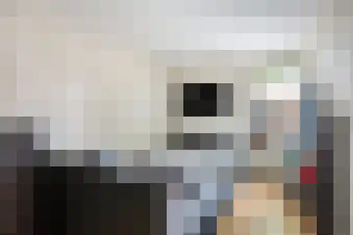 Vergiliushof 14 A Maastricht thumbnail 21