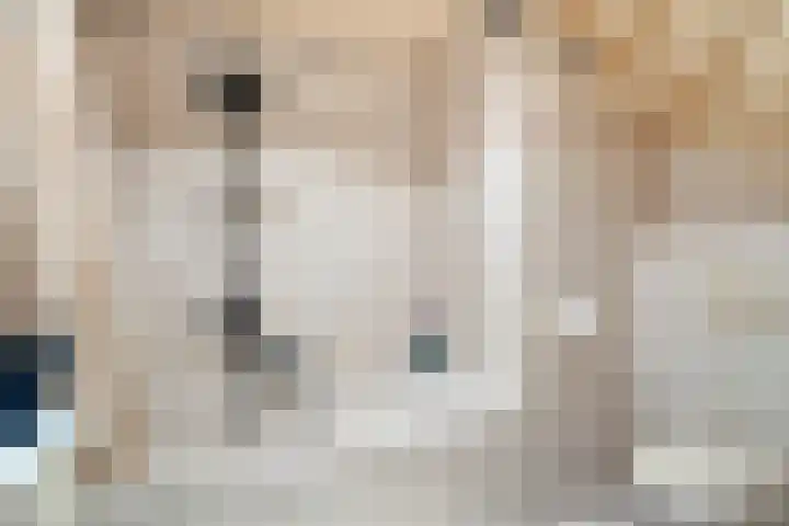 Vergiliushof 14 A Maastricht thumbnail 24