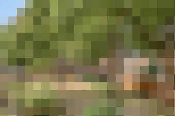 Vergiliushof 14 A Maastricht thumbnail 34