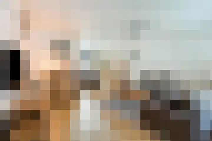 Vergiliushof 14 A Maastricht thumbnail 4