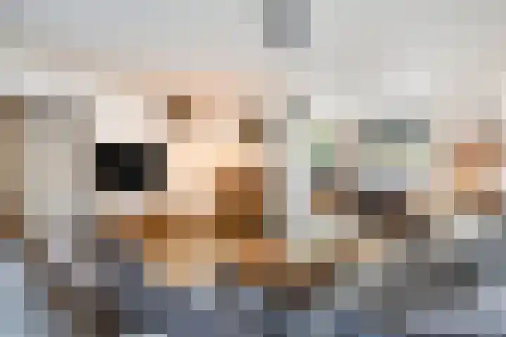 Vergiliushof 14 A Maastricht thumbnail 6