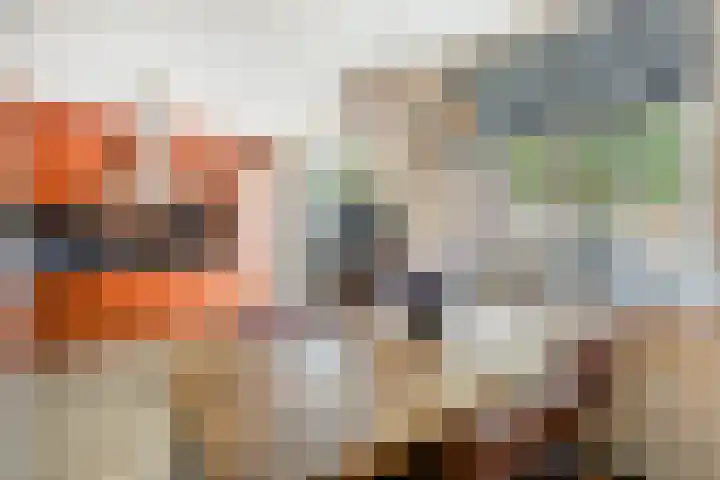 Vergiliushof 14 A Maastricht thumbnail 8