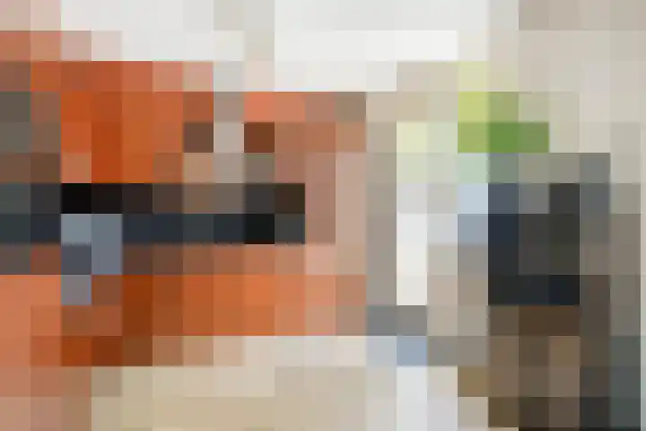 Vergiliushof 14 A Maastricht thumbnail 9