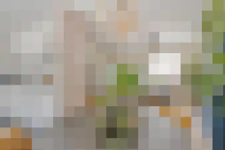 Vergiliushof 16 B Maastricht thumbnail 10