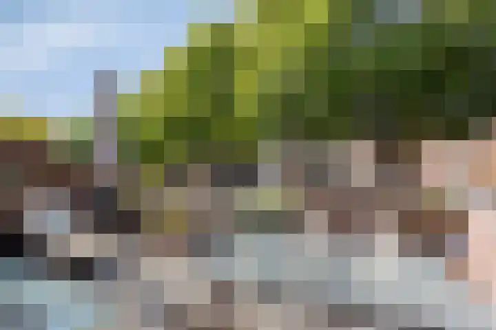Vergiliushof 16 B Maastricht thumbnail 16