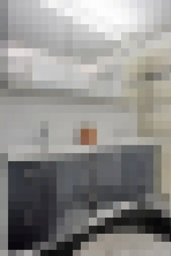 Vergiliushof 16 B Maastricht thumbnail 20