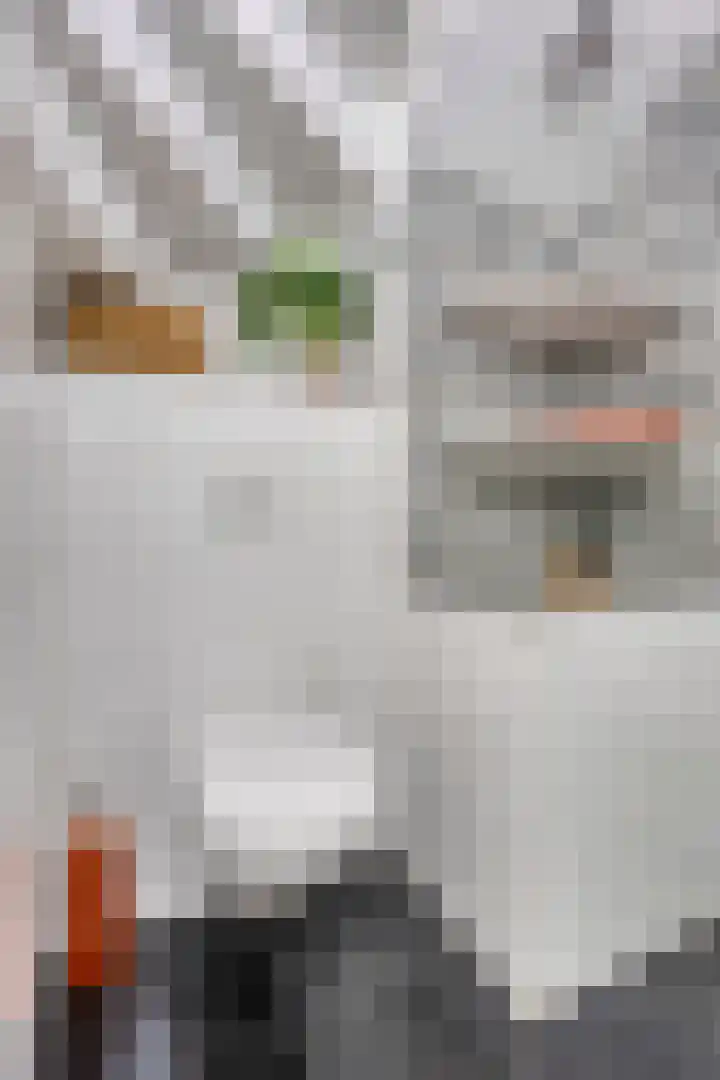 Vergiliushof 16 B Maastricht thumbnail 21
