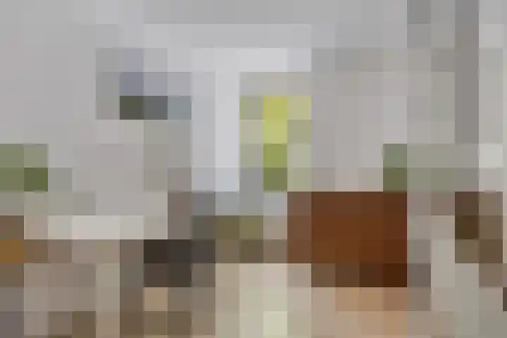 Vergiliushof 16 B Maastricht thumbnail 27