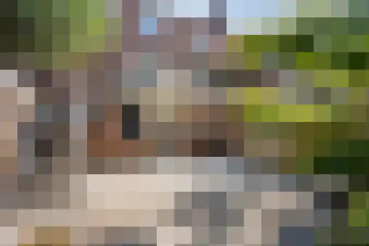 Vergiliushof 16 B Maastricht thumbnail 32