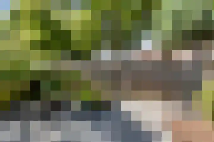 Vergiliushof 16 B Maastricht thumbnail 33
