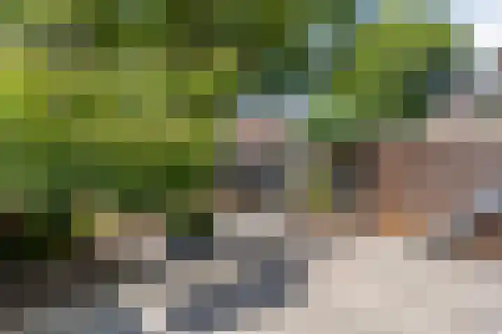 Vergiliushof 16 B Maastricht thumbnail 35