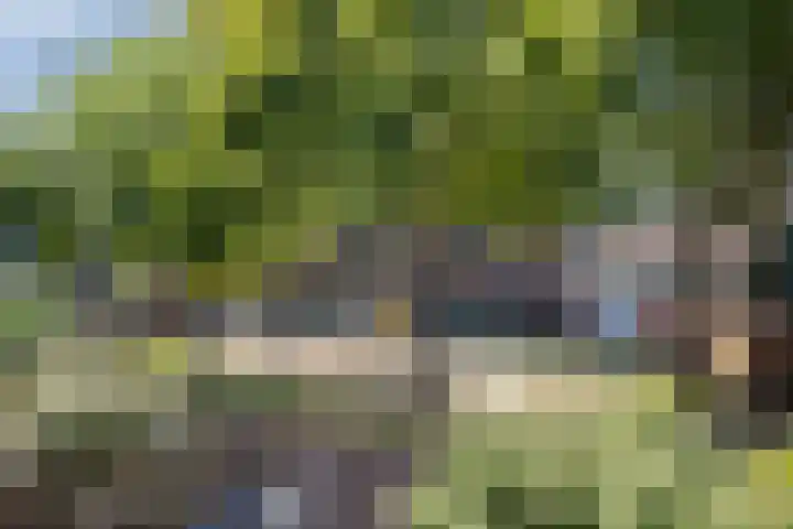 Vergiliushof 16 B Maastricht thumbnail 36