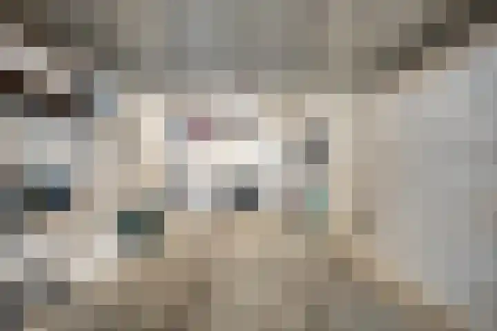 Vergiliushof 16 B Maastricht thumbnail 40