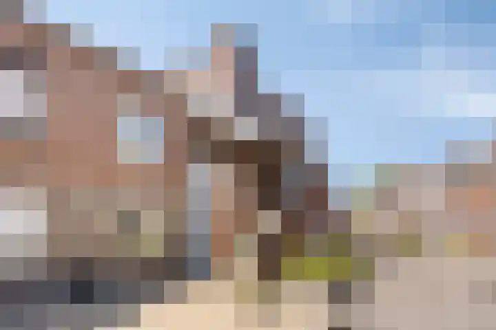 Vergiliushof 16 B Maastricht thumbnail 44