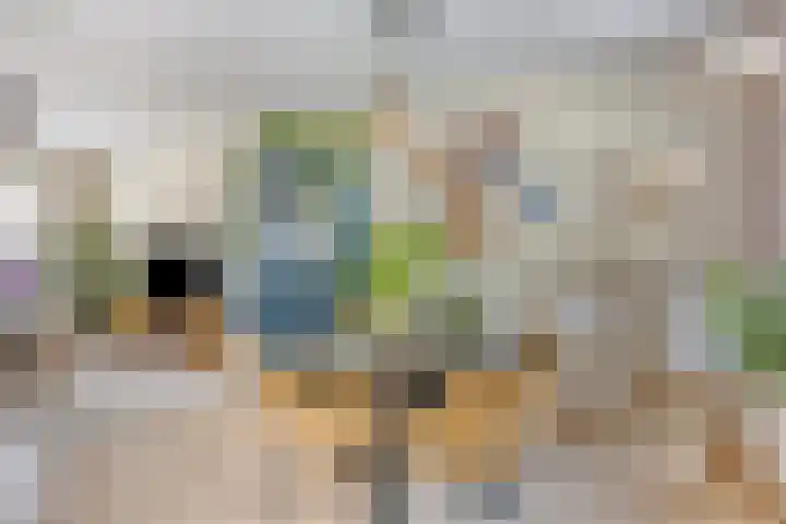 Vergiliushof 16 B Maastricht thumbnail 8