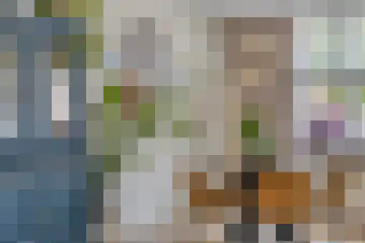 Vergiliushof 16 B Maastricht thumbnail 9