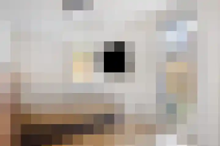 Vergiliushof 23 A Maastricht thumbnail 15