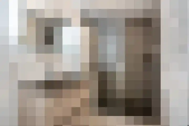 Vergiliushof 23 A Maastricht thumbnail 17