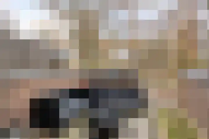 Vergiliushof 23 A Maastricht thumbnail 25
