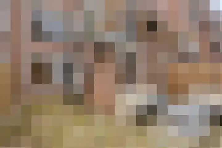 Vergiliushof 23 A Maastricht thumbnail 28