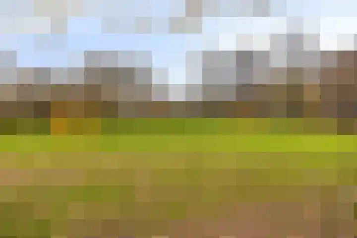 Vergiliushof 23 A Maastricht thumbnail 31