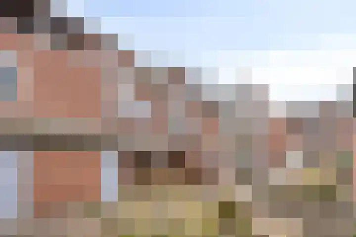Vergiliushof 23 A Maastricht thumbnail 33