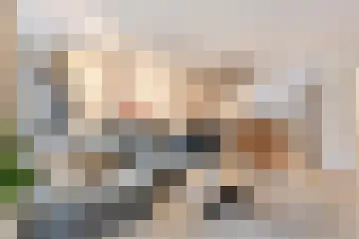 Vergiliushof 23 A Maastricht thumbnail 8