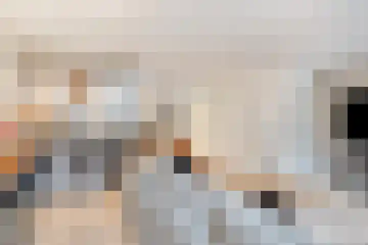 Vergiliushof 23 A Maastricht thumbnail 9
