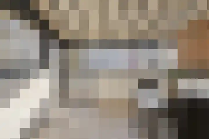 Vergiliushof 29 A Maastricht thumbnail 10