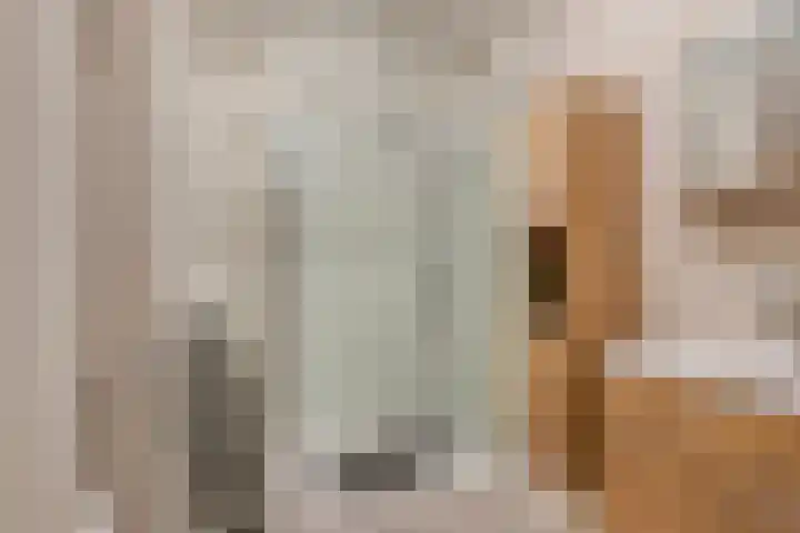 Vergiliushof 29 A Maastricht thumbnail 18