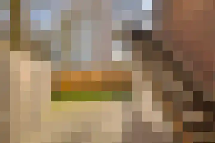 Vergiliushof 29 A Maastricht thumbnail 23