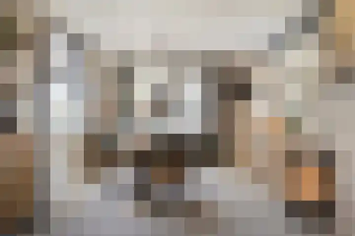 Vergiliushof 29 A Maastricht thumbnail 5