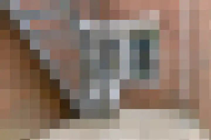 Vergiliushof 36 A Maastricht thumbnail 36