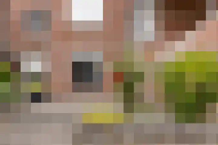 Vergiliushof 36 A Maastricht thumbnail 42