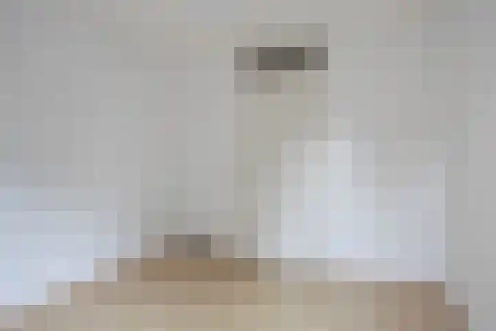 Vergiliushof 49 B Maastricht thumbnail 16
