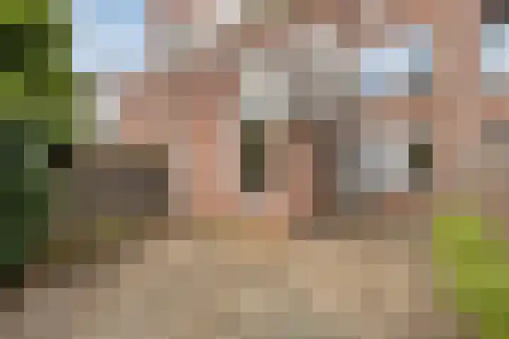 Vergiliushof 49 B Maastricht thumbnail 23