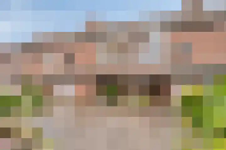Vergiliushof 49 B Maastricht thumbnail 26
