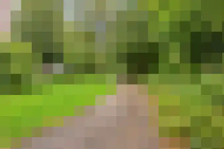 Vergiliushof 49 B Maastricht thumbnail 30
