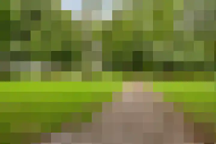 Vergiliushof 49 B Maastricht thumbnail 31