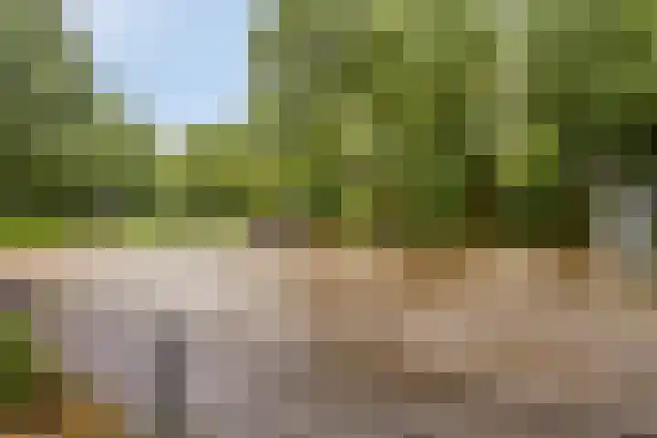 Vergiliushof 49 B Maastricht thumbnail 32