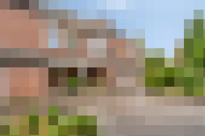 Vergiliushof 49 B Maastricht thumbnail 4