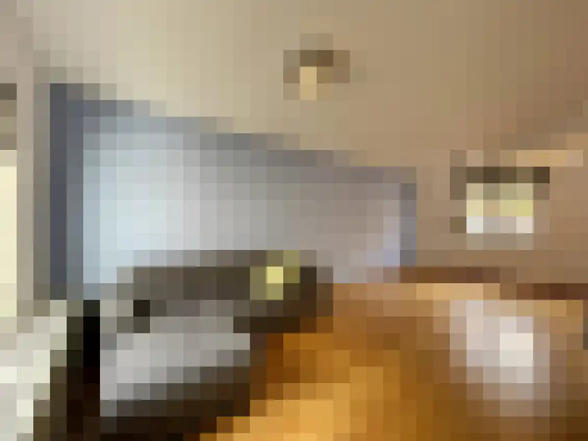 Vergiliushof Maastricht thumbnail 6