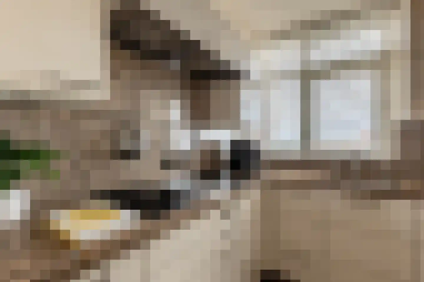 Vergiliuslaan 122 's-Hertogenbosch thumbnail 31