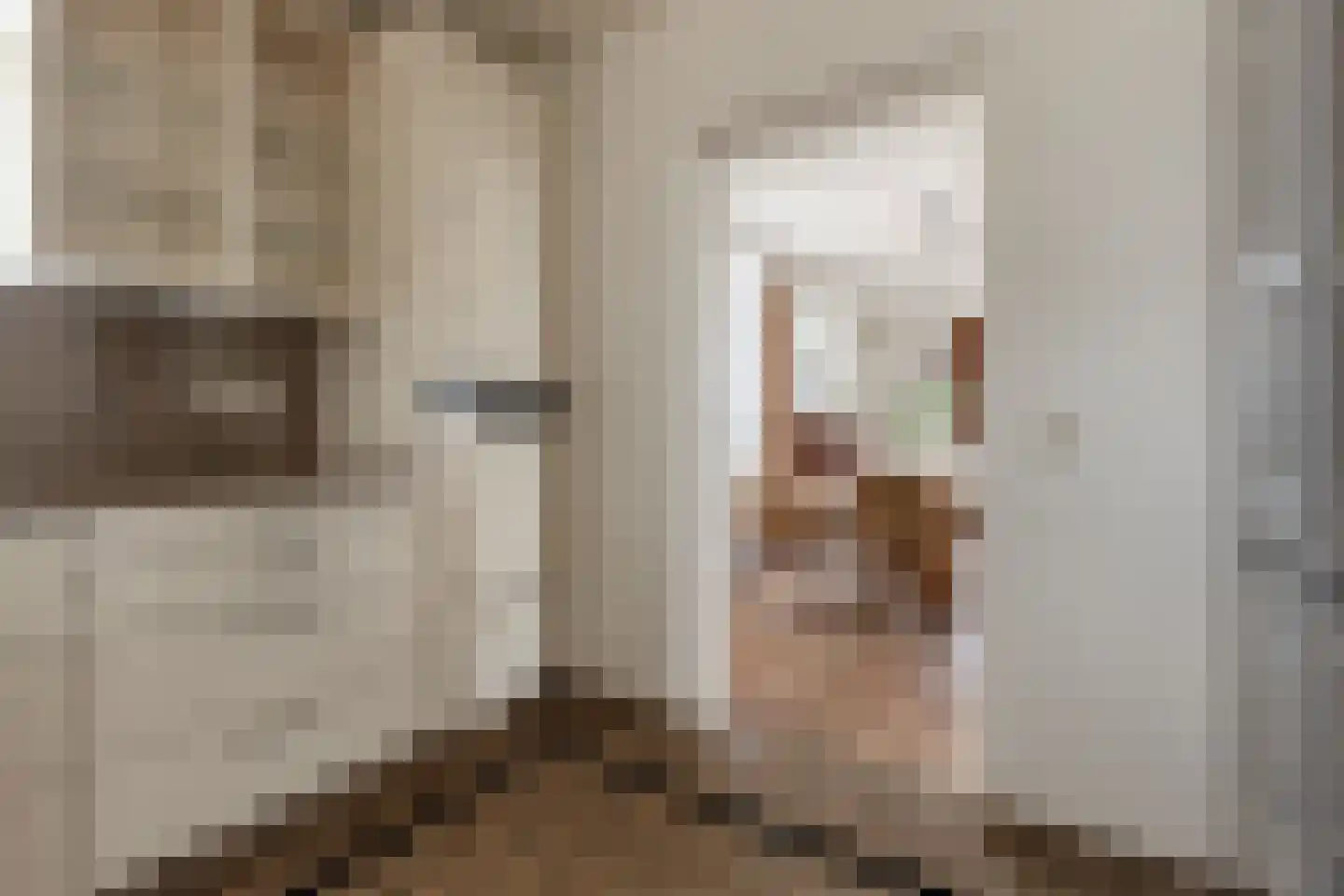 Vergiliuslaan 122 's-Hertogenbosch thumbnail 36
