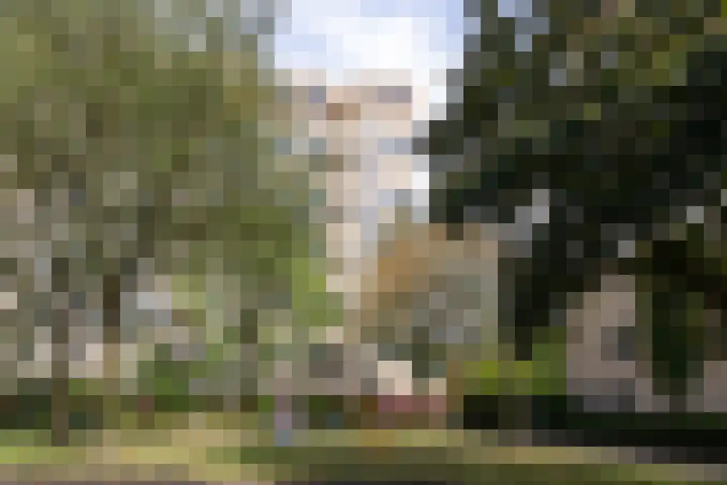 Vergiliuslaan 122 's-Hertogenbosch thumbnail 57
